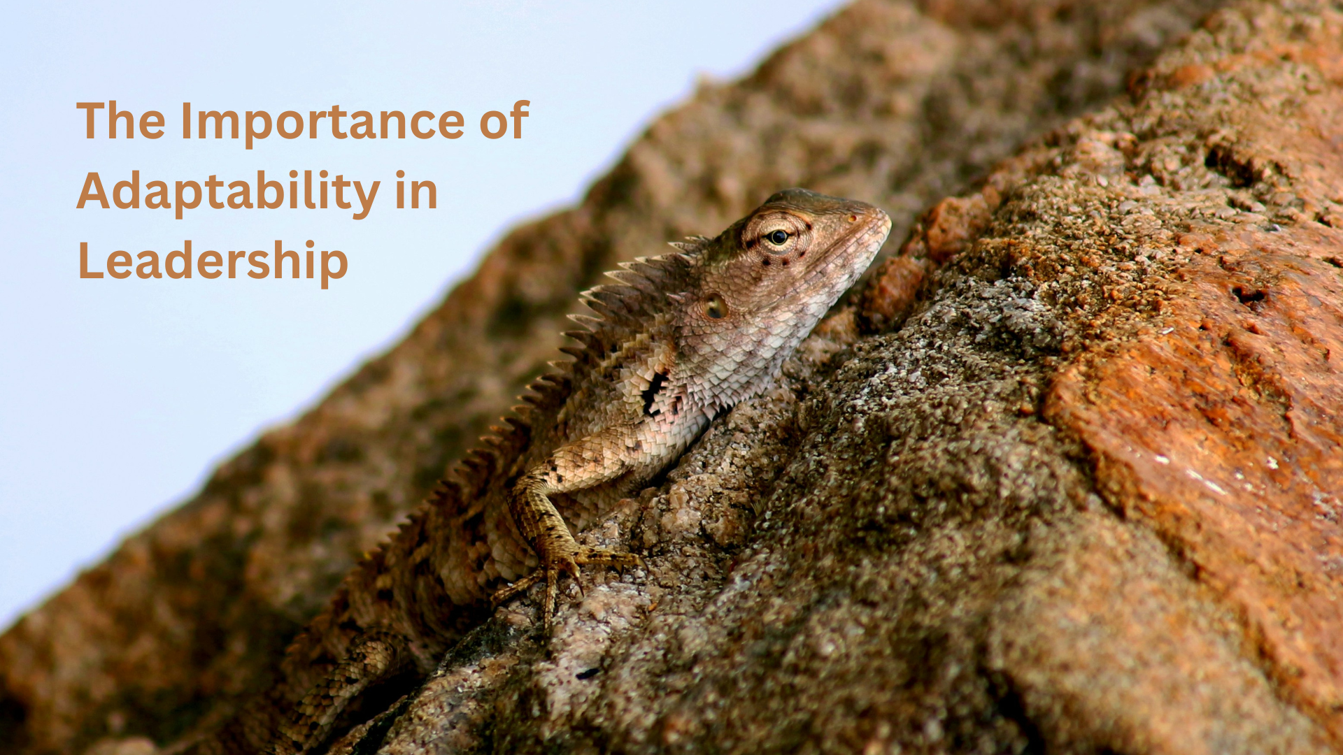 Can Adaptability Make You a Better Leader?