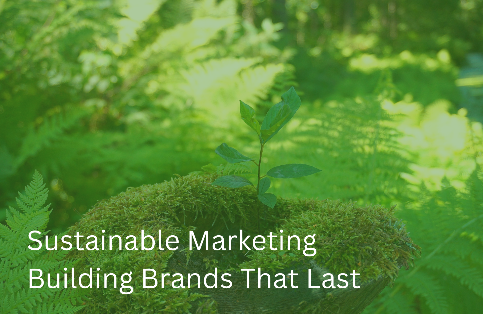 Sustainable Marketing: Building Brands That Last